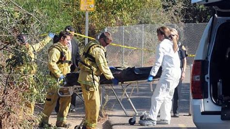 Regulatory bodies are governmental agencies that are created to oversee specific industries and practices. . Body found in modesto